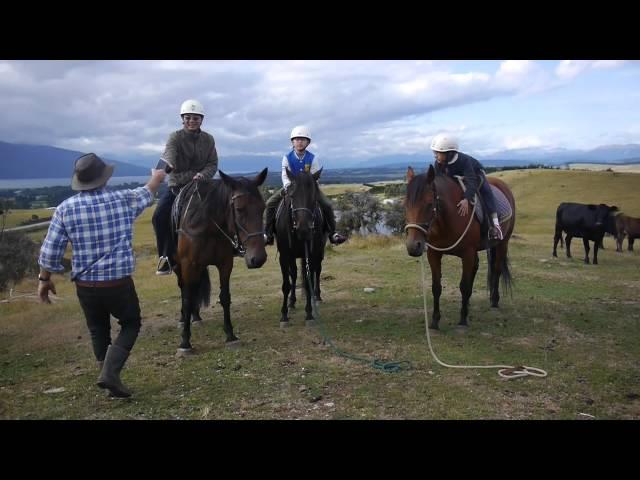 Fiordland horse treks – what to expect on a horse trek