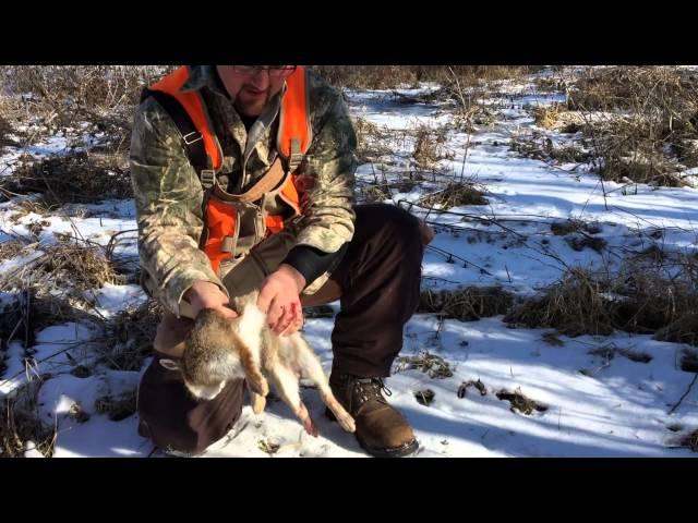 How to Field Dress a Bunny in 10 Seconds