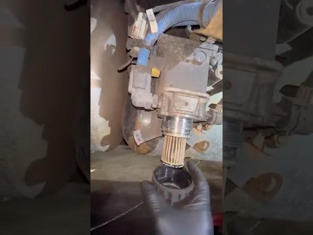DEF Filter change #cascadia #truckrepair #diy #freightliner #diesel #dd15 #mechanic #bluecollar #def