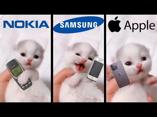 Cute Kitten Meows but famous phone ringtones