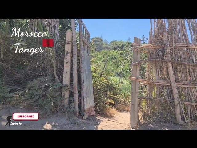 غابة جميلة في مدينة طنجة تساعد غابة الرميلات كمتنفس للمدينة Morocco Forest 