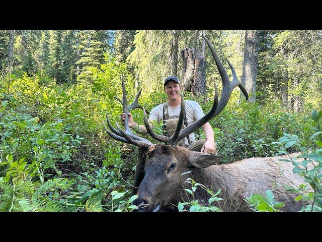 Elk/Deer hunting 2024! Best way to eat your greens