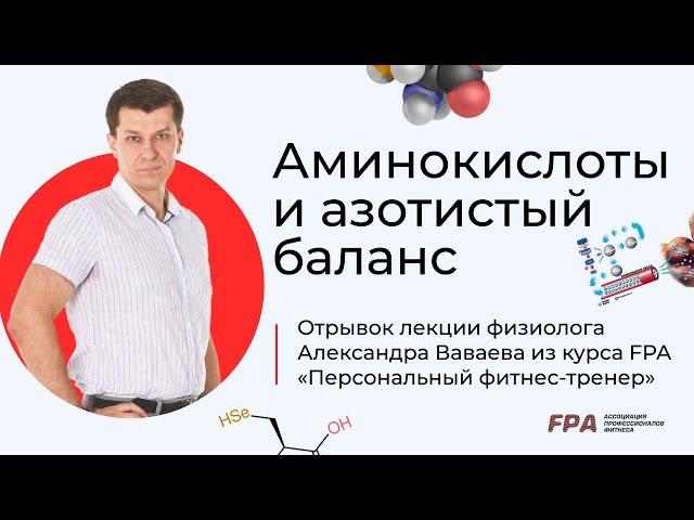 Аминокислоты и азотистый баланс | Александр Ваваев (FPA)