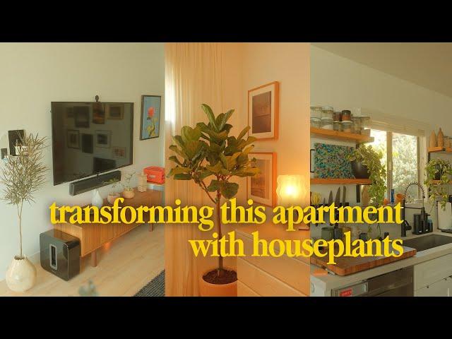 mid century modern apartment makeover with plants