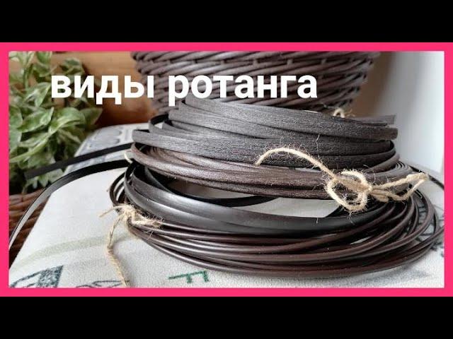 Обзор виды ротанга