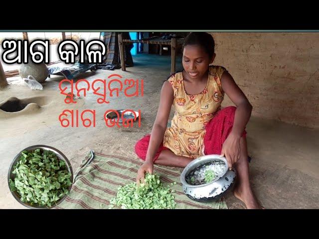 water clover leaves / cooking and eating /very tasty/sambari tribe vlogs.
