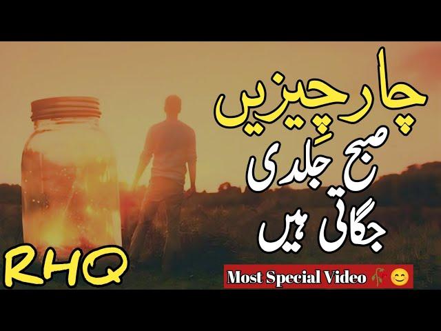 Golden Words In Urdu | Quotes About Allah In Urdu | Islamic Quotes By Rahe Haq Quotes