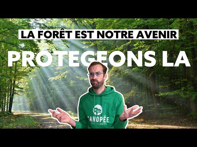 475 suppressions de postes à l’Office National des Forêts