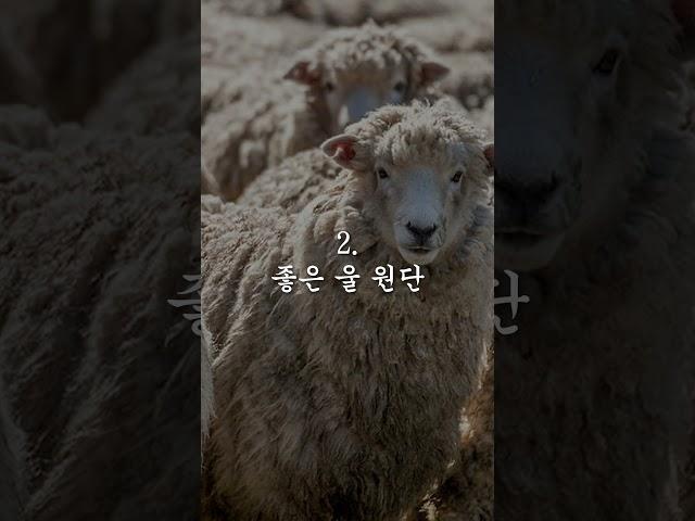 코트 살 때 거짓말에 절대 속지 마세요