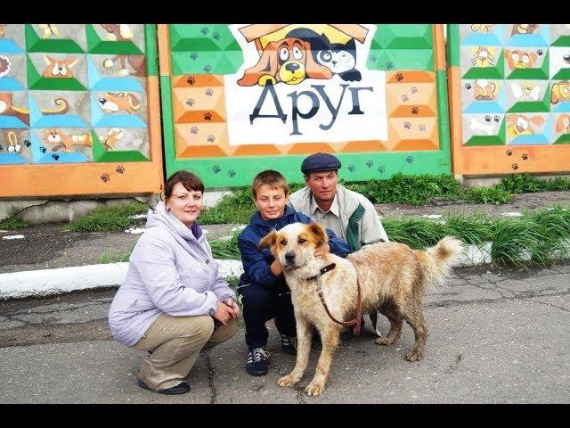 Социальный ролик. Омский приют "Друг"