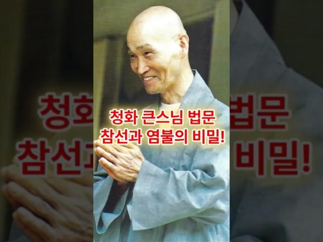 청화 큰스님의 참선과 염불의 비밀! #청화큰스님 #법문 #염불 #참선 #아미타불 #다르마 #관세음보살