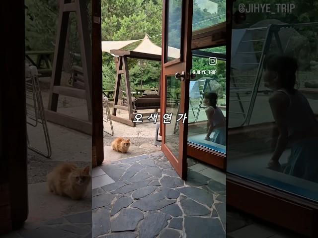 강원도 양양 숙소 추천 푸른 프라이빗 계곡 바로 앞 펜션 오색연가 #강원도계곡 #양양숙소 #양양계곡숙소 #양양펜션 #양양계곡펜션
