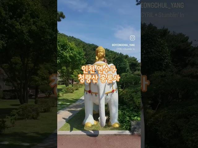인천 연수구 청량산 산행 후 흥륜사쉼터에서 수제비, 도토리묵