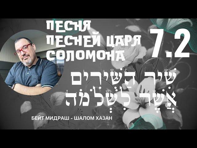 Книга Песня Песней 7 глава 2 часть