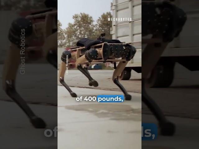 This Robotic Dog Is The Future Of The Military!!!