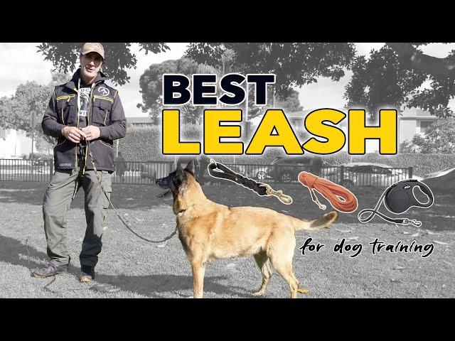 The Best LEASH for Walking and Training Your DOG - Flexi Leash, Long Line, Pull Tab, Leash Walking