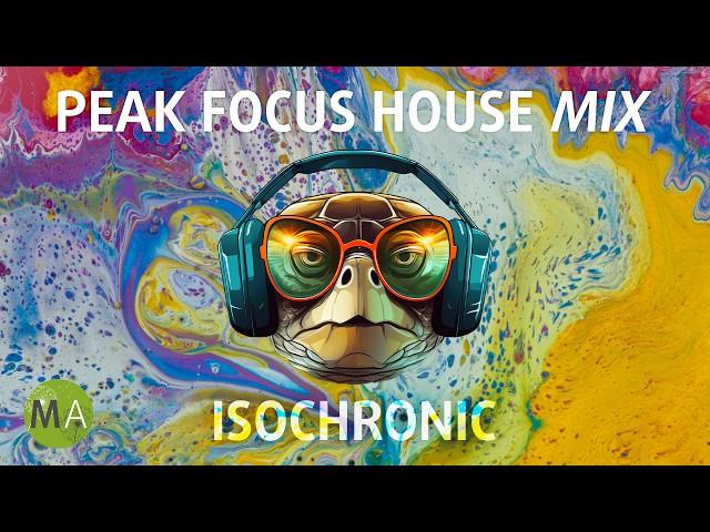 Peak Focus For Complex Tasks House Turtle Mix with Isochronic Tones