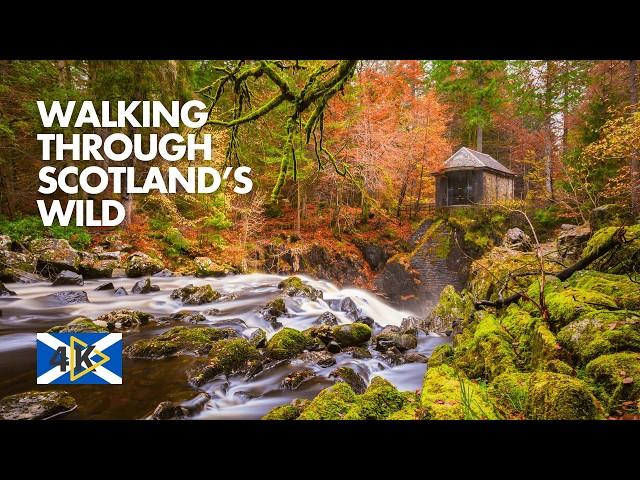 The Most Beautiful Nature Walk in Scotland l Walking Tour 4K HDR 60fps