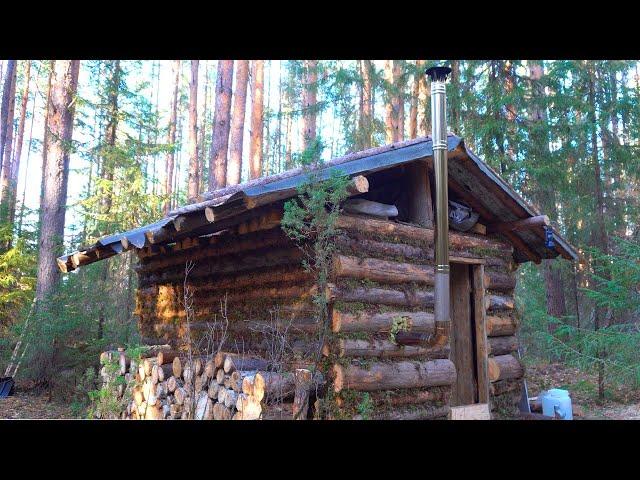 WINTER is coming! Alone in the TAIGA cabin, picking firewood, preparing the cabin for winter