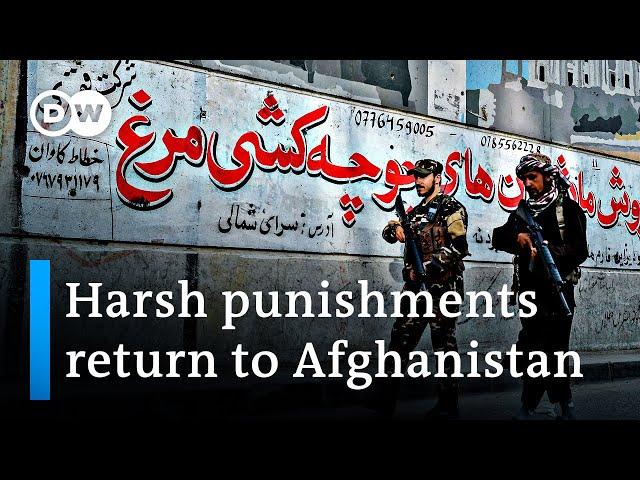 Taliban official: Strict punishments and executions will return to Afghanistan | DW News