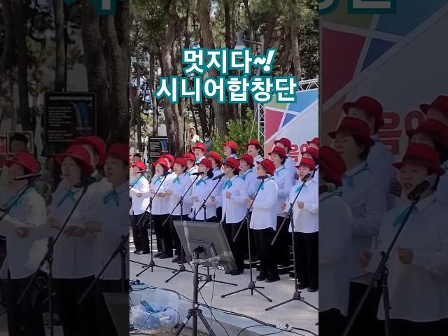 시니어 합창단의 멋진 버스킹공연