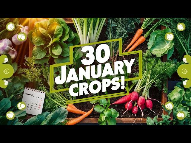 30 Crops to Plant in January for a Thriving Garden