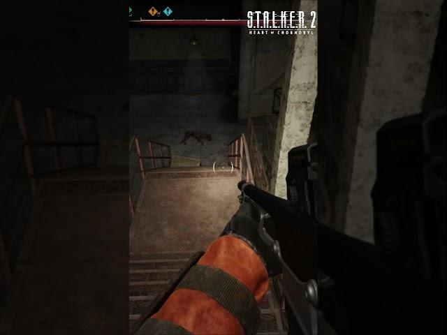 S.T.A.L.K.E.R. 2: ️