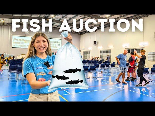 I took $30 to an Aquarium Fish Auction!