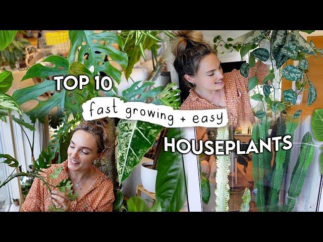 10 Fast Growing EASY Indoor Plants  Easiest + Fastest Growing Houseplants