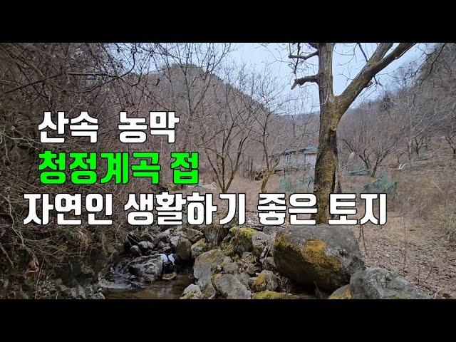 363번. 산으로 둘러싸이고 청정계곡 길게 접 호두나무 식재 농막 설치 전기 들어옴. 영동군 양강면