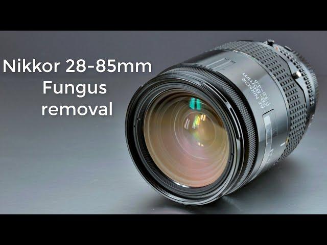 Nikon Nikkor 28-85mm : Fungus cleaning