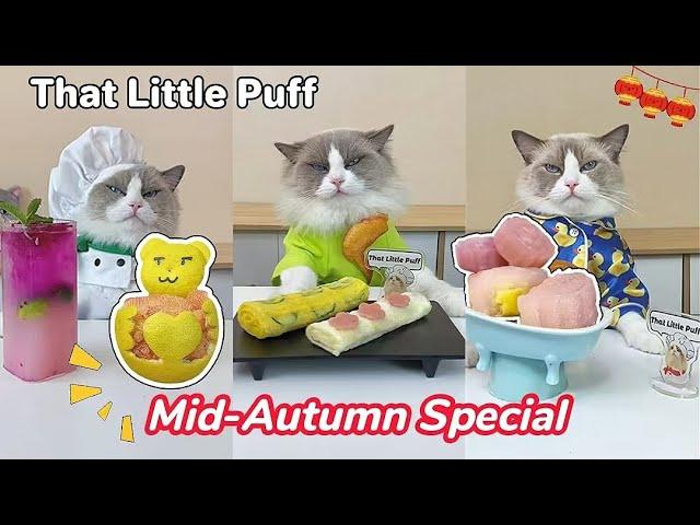 Happy Mid-Autumn! Chef Puff make you a delicious meal!  | That Little Puff