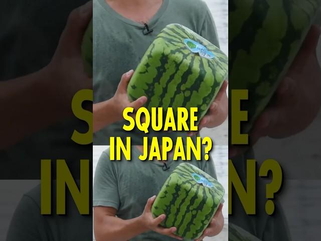 Why Watermelons are Square in Japan 