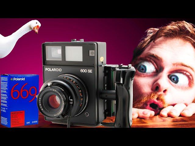 The short history of the Polaroid 600 se AKA The GOOSE