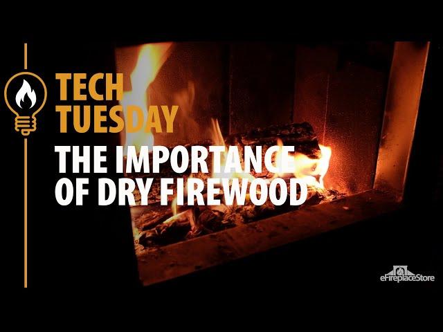 Tech Tuesday: The Importance of Dry Firewood- eFireplaceStore