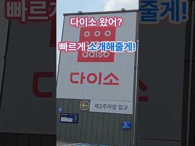 다이소 품절 예상 추천템 - 25년 6월 최신 #다이소 #다이소신상 #다이소템