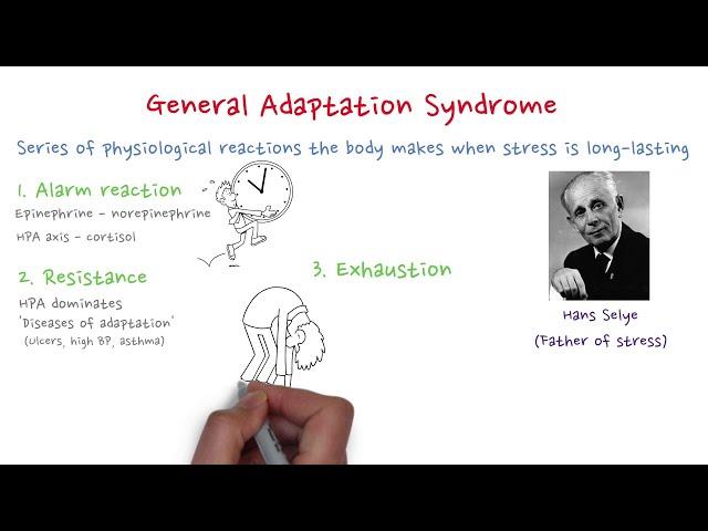 General Adaptation Syndrome (GAS)