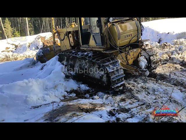 Работа бульдозера! Бульдозер делает дорогу в лесу.