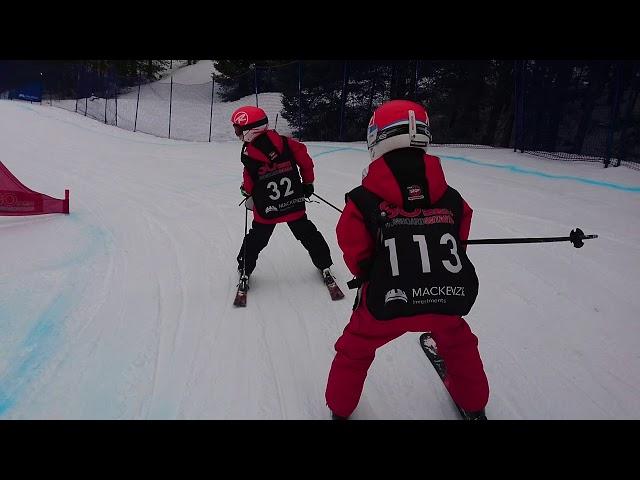 ELITE ALPINE SKI CROSS