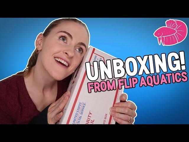 Flip Aquatics Unboxing! Awesome Aquatic Plant Haul