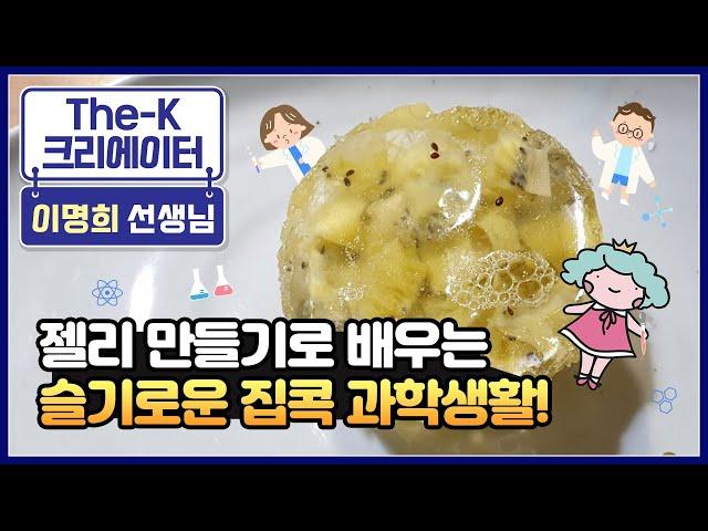 젤리 만들기로 배우는 슬기로운 과학 생활! [The-K 크리에이터]