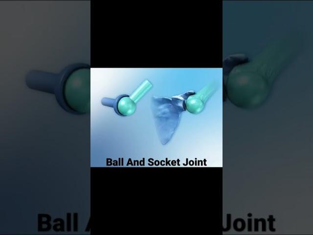 Ball And Socket Joint 