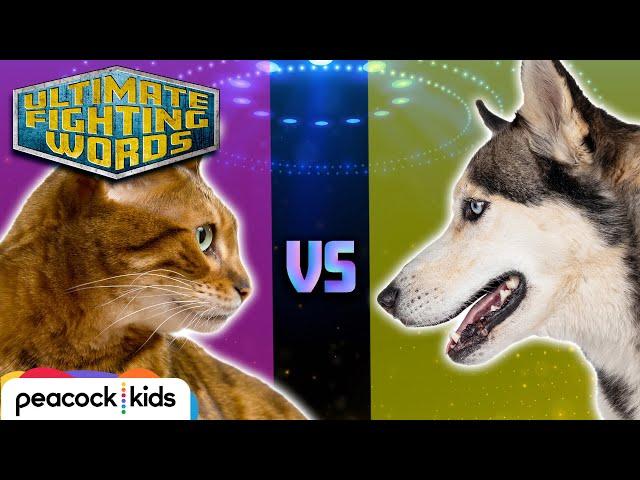 CAT VS. DOG - Which is the Better Pet? | ULTIMATE FIGHTING WORDS