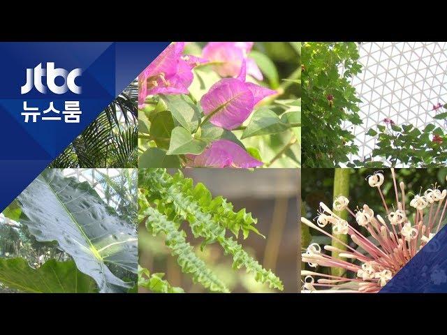 국내 최대 '돔형 온실'…열대 식물 300종 무럭무럭