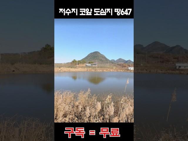 저수지 코앞 도심지 땅647평 몽땅 2500만원