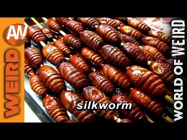 World of Weird - Beijing Food Market: Bugs and Lizards