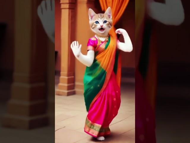 Cat dance short video #dancingcat #funny #cute  #comedy #kitten #europe #cat  @furry-cornerz