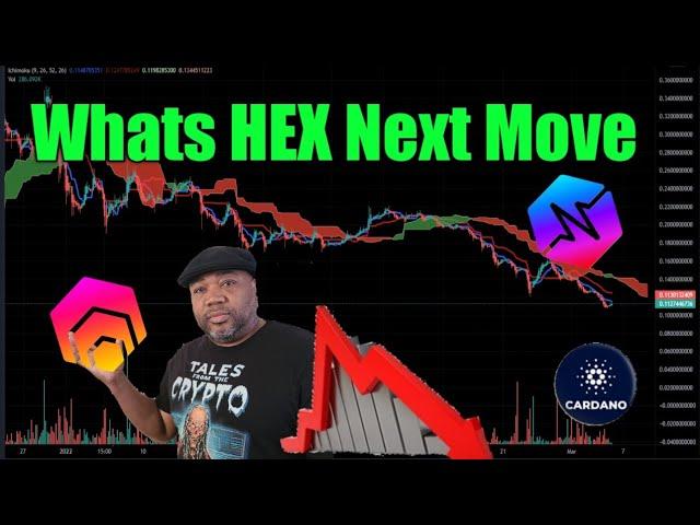 HEX TA |Cardano TA | Ethereum MetaMask News |Hexican HODL