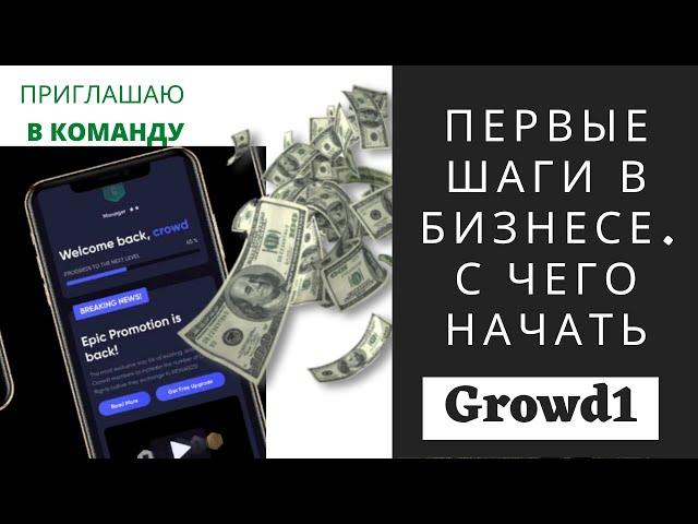 Первые шаги в бизнесе. С чего начать CROWD1