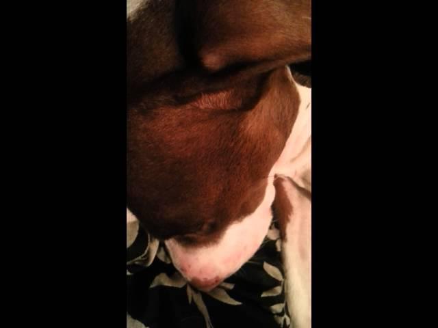 Kaia Snoring